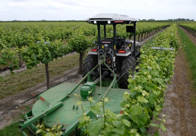 Monarch Autonomous Vineyards